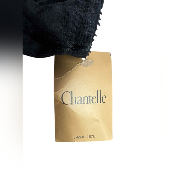 Chantelle NWT Black Lace Bra 34DD - Picture 4 of 5